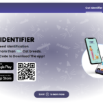 Cat Identifier