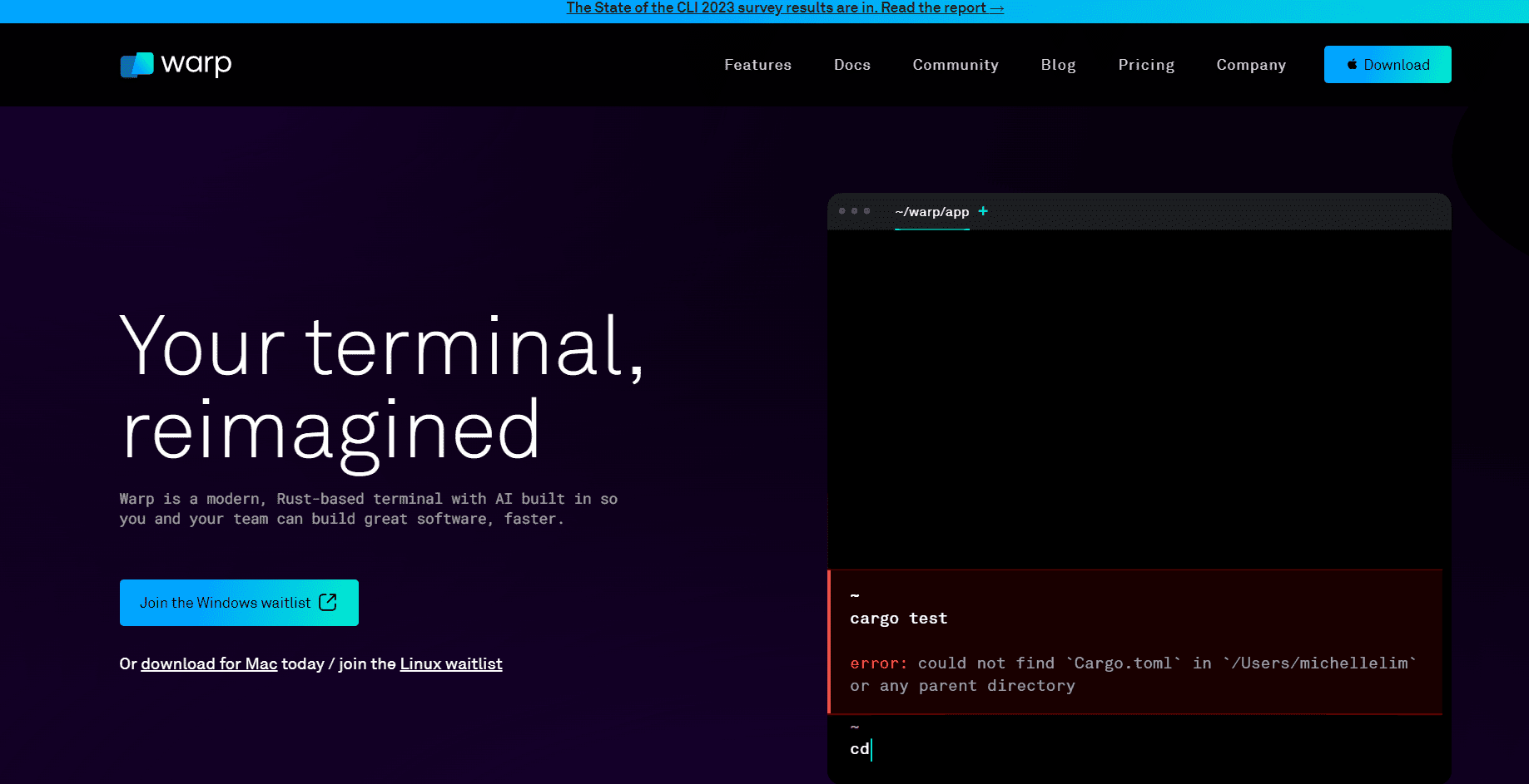 Rust-based code terminal and assistant.