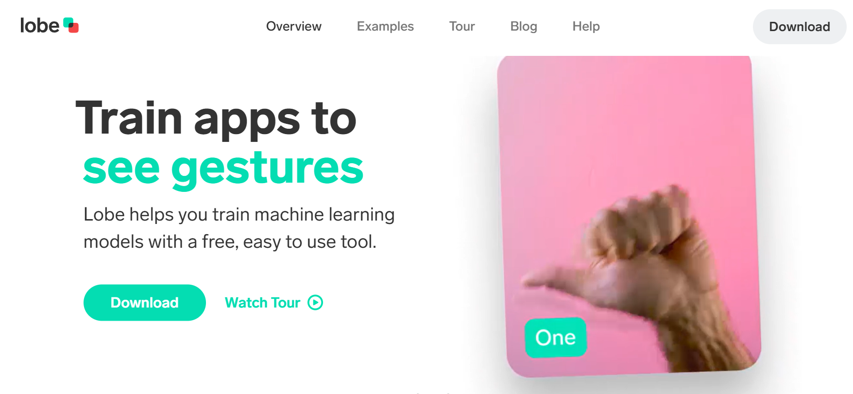 Lobe is an AI platform that trains machine learning models without coding skills.
