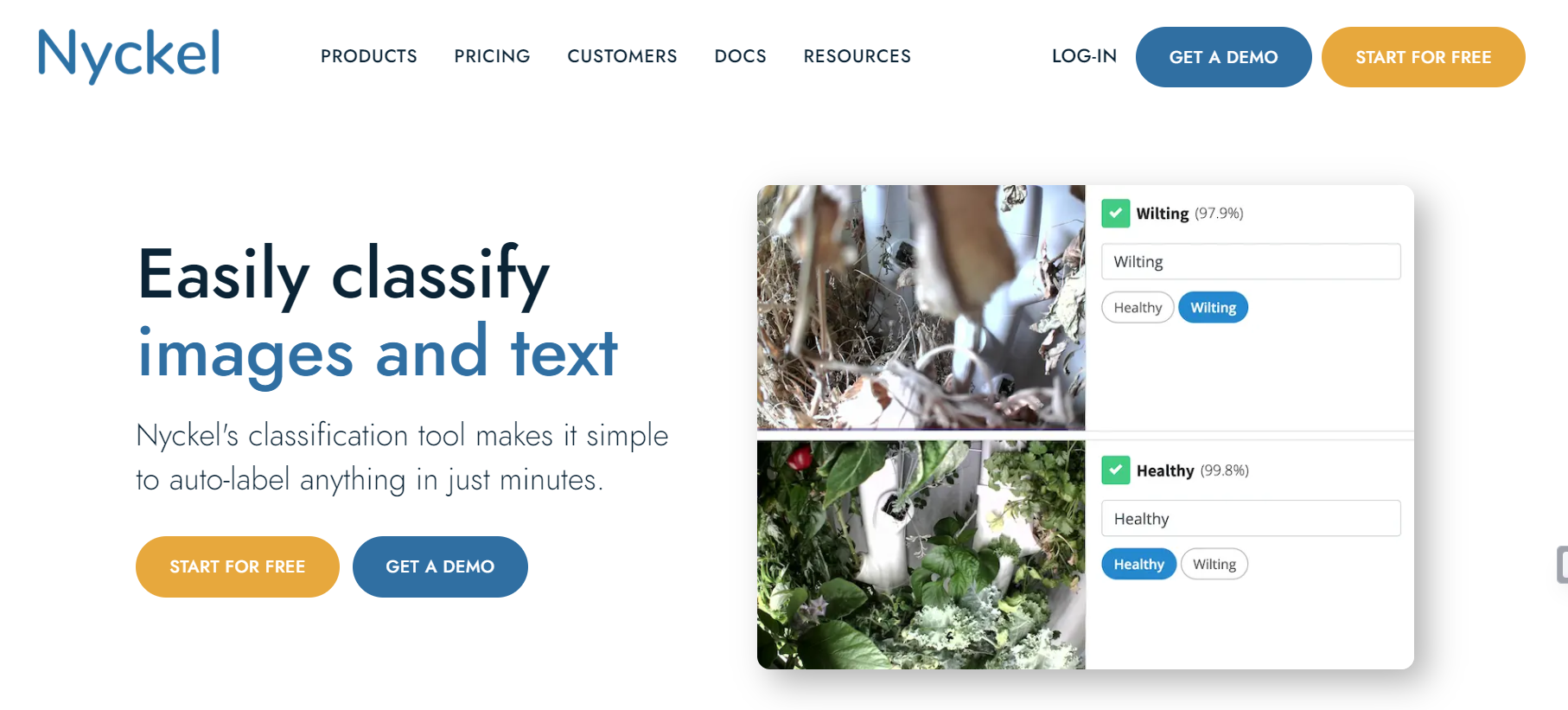 Nyckel is a platform that simplifies image and text classification, enabling auto-labeling.