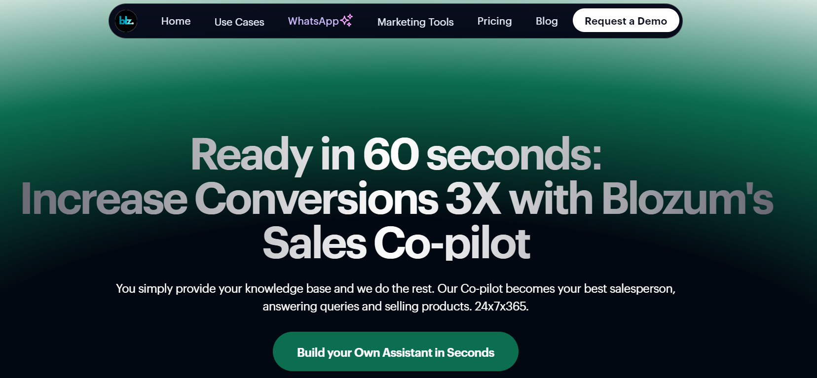 Blozum AI is a conversational tool designed to enhance user engagement and boost conversions through personalized interactions.