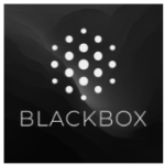 BLACKBOX.AI